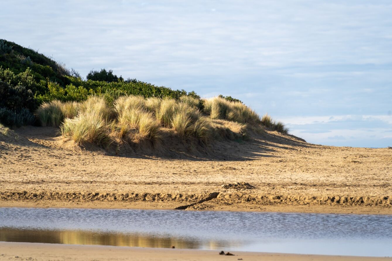 Anglesea and Aireys Inlet Land Transfers Land Management Transfers