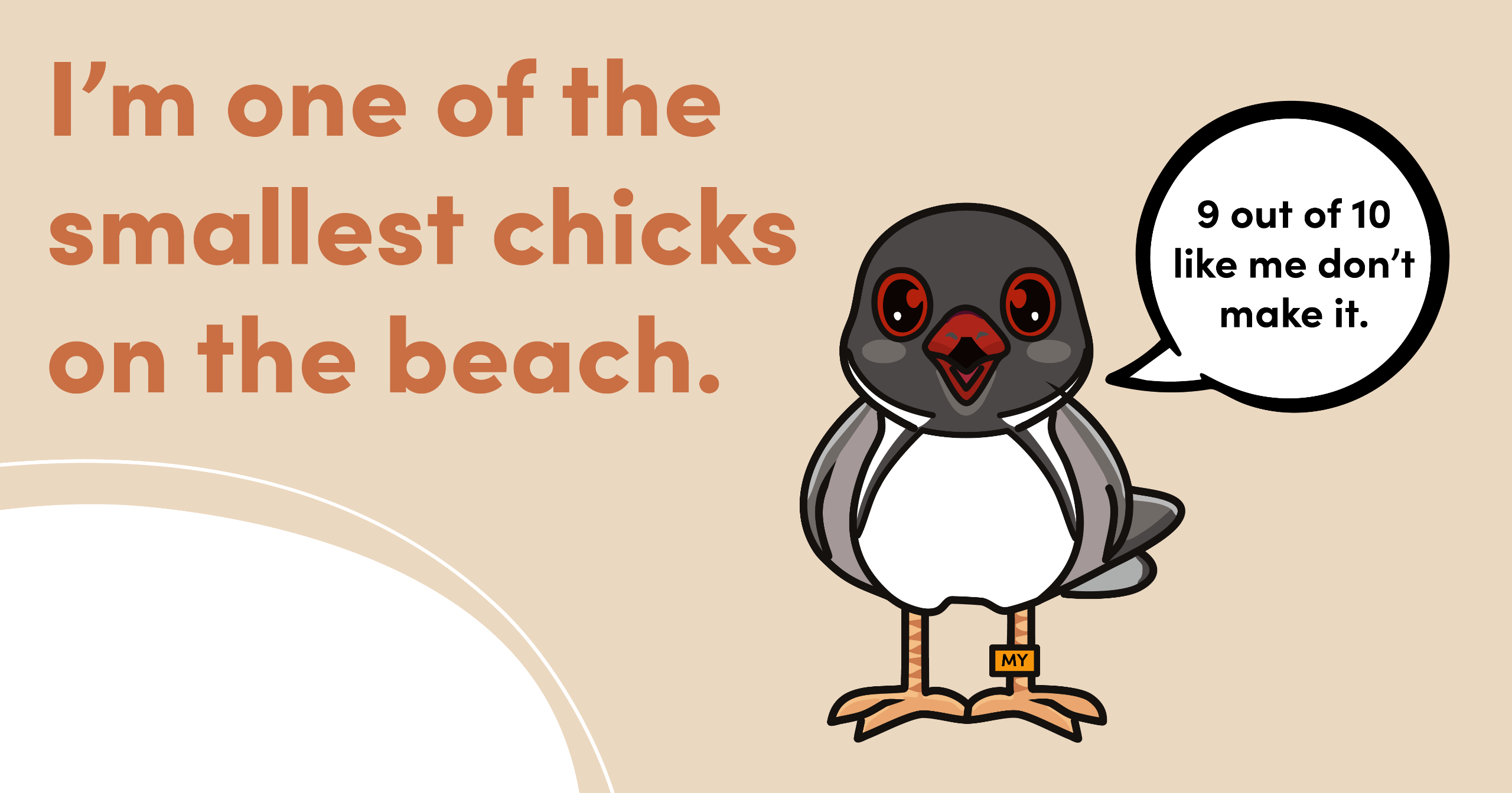 I'm one of the smallest chicks on the beach