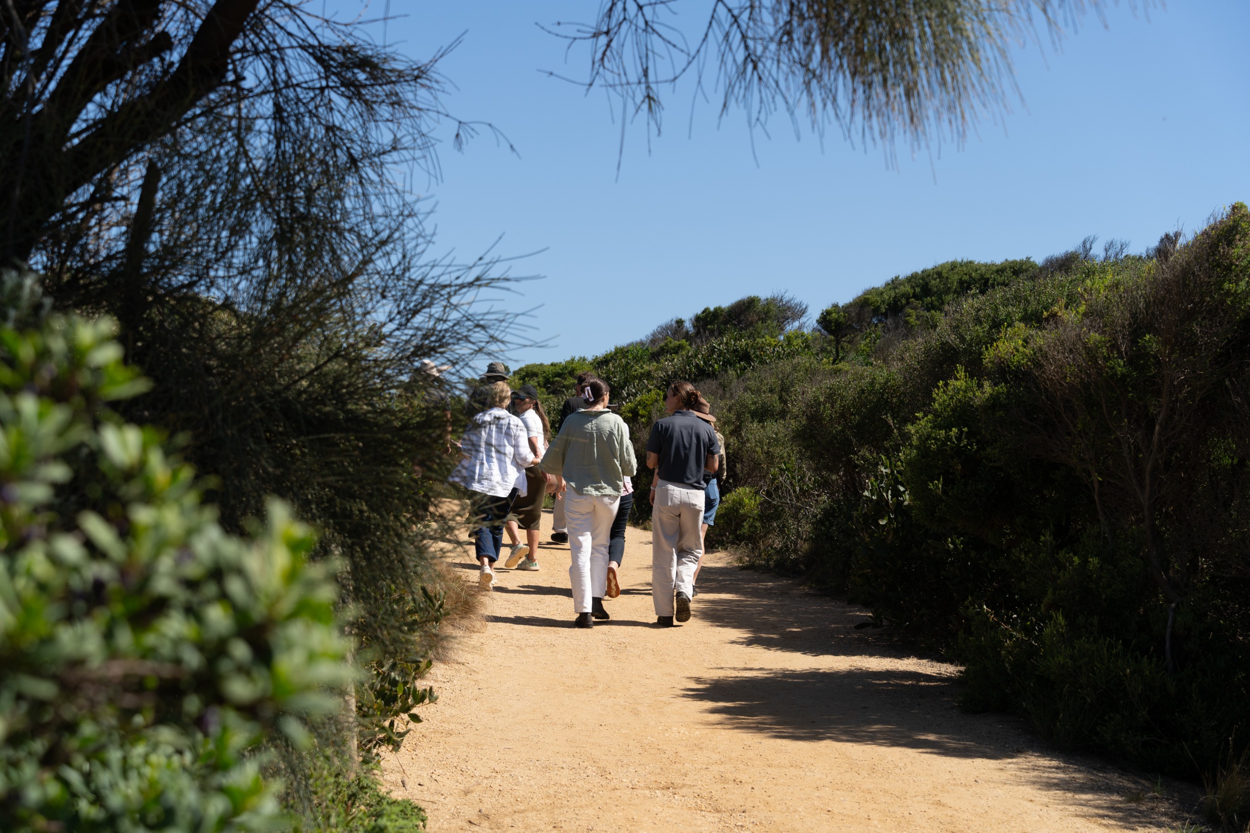 Rocky Point Walk and Talk