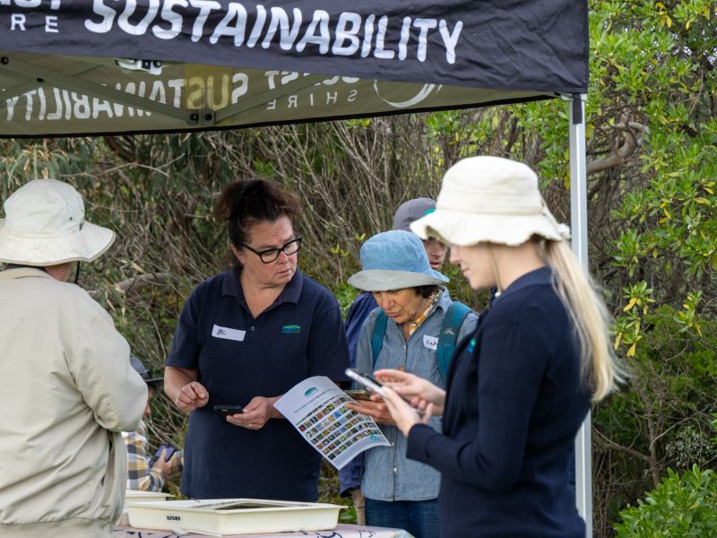 People looking at water bugs 
