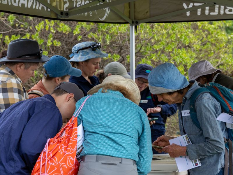 looking at water bugs