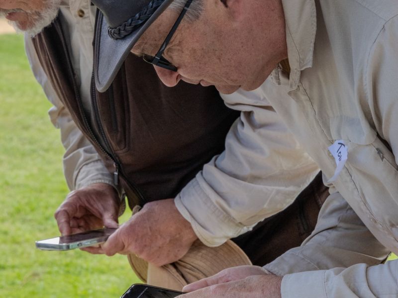 Two men leaning over a container with water bugs in it