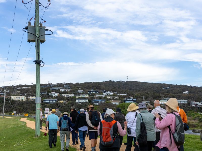 Group walking along path