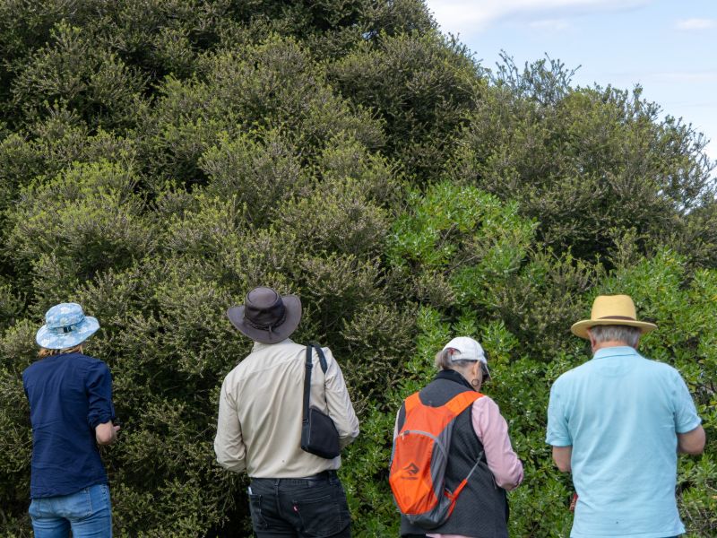 3 people looking into the bushes beside the estuary